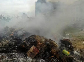 有毒有害物质检测